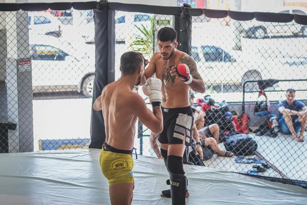 The rise of basketball's popularity across the uk: an in-depth look